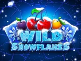 Wild Snowflakes game icon